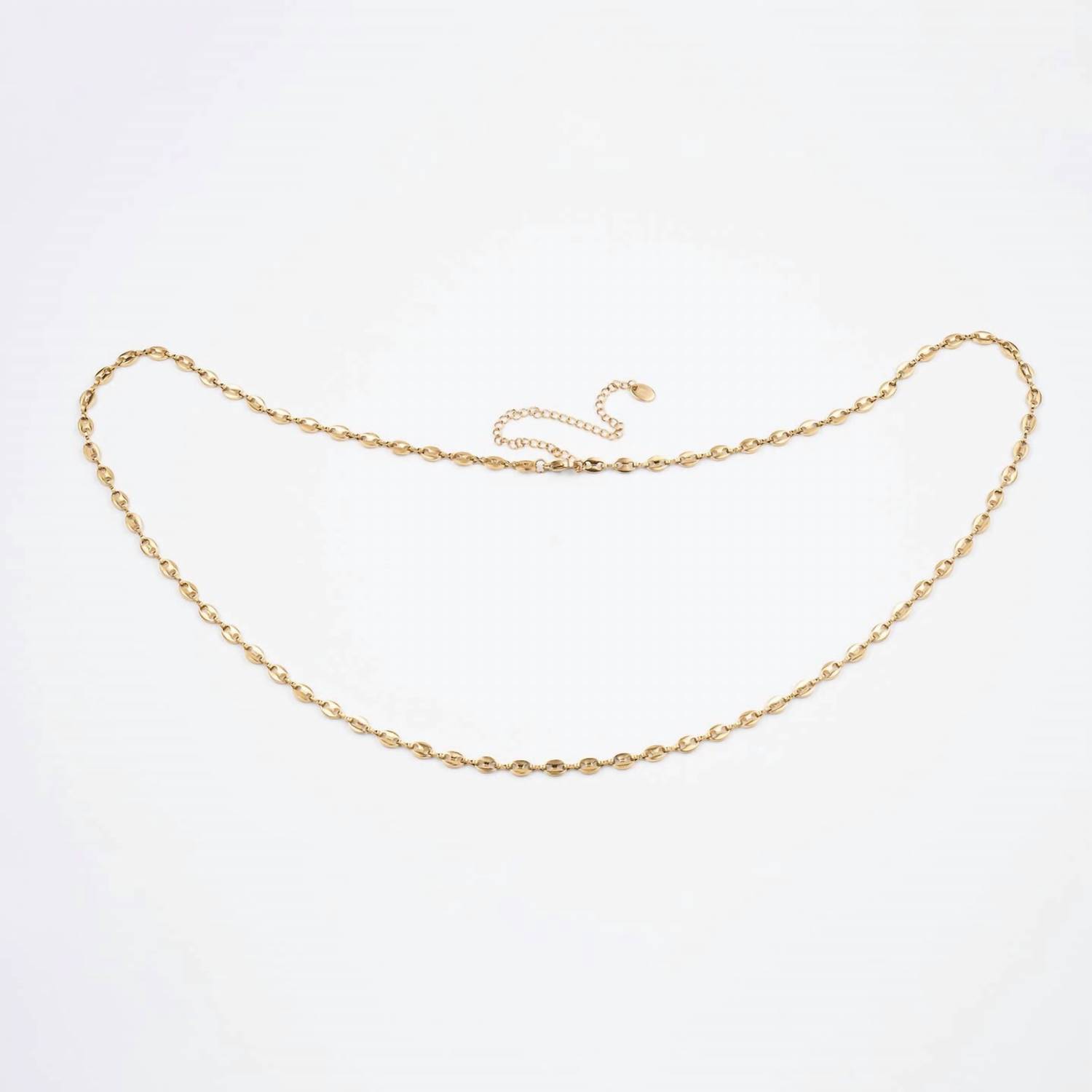 New Brenda Grands Womens Coin Long Necklace In Gold